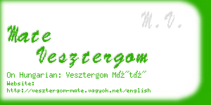 mate vesztergom business card